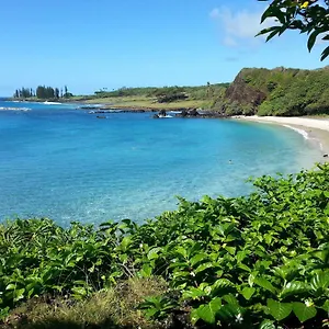https://hana-oceanfront-cottages.hotelsinhawaii.org